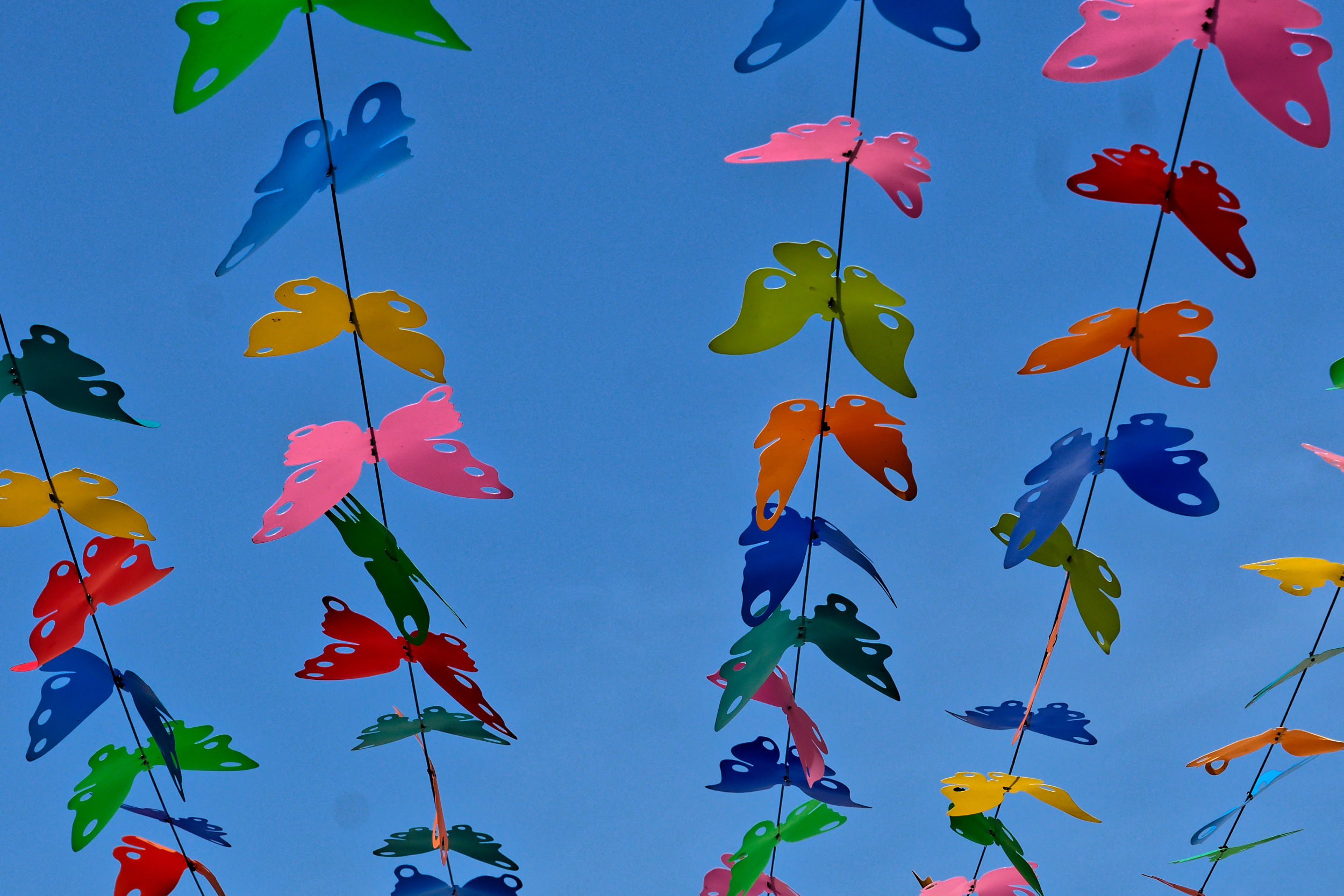 Couleurs — Pierre Parant Photographies