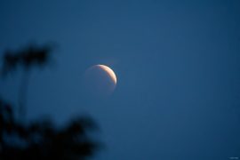 Et seize jours après l'éclipse solaire, une éclipse de lune. Une photo prise à l'arrache au petit matin. dsc03021 dxo